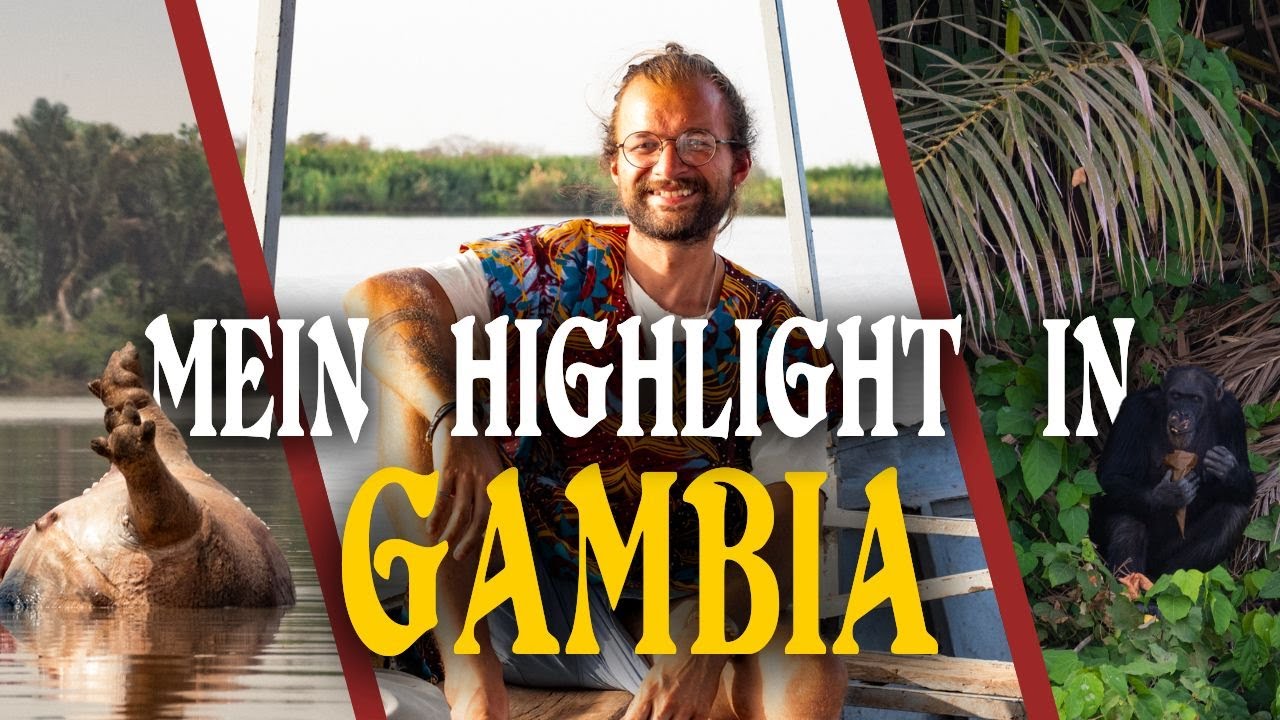 Totales Drama in Gambia: Wie ist das Hippo im Nationalpark gestorben?! | Weltreise - Gambia