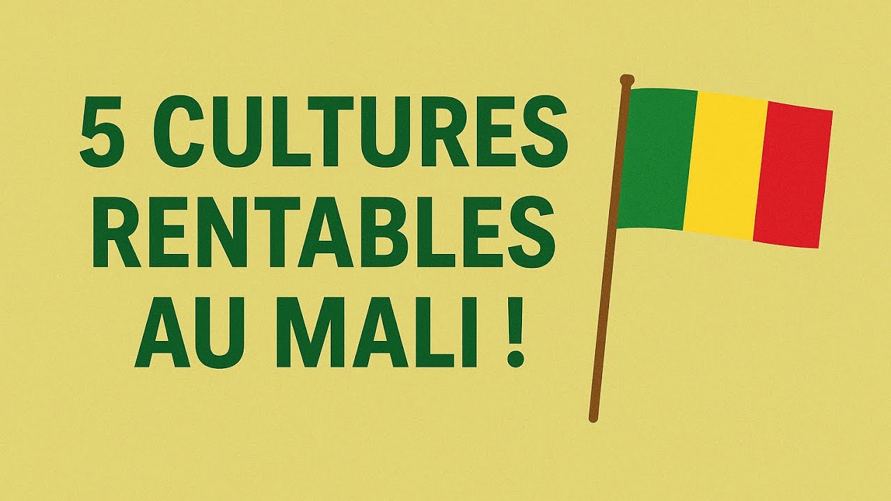 Agriculture au mali : 05 Cultures Rentable et stable au Mali
