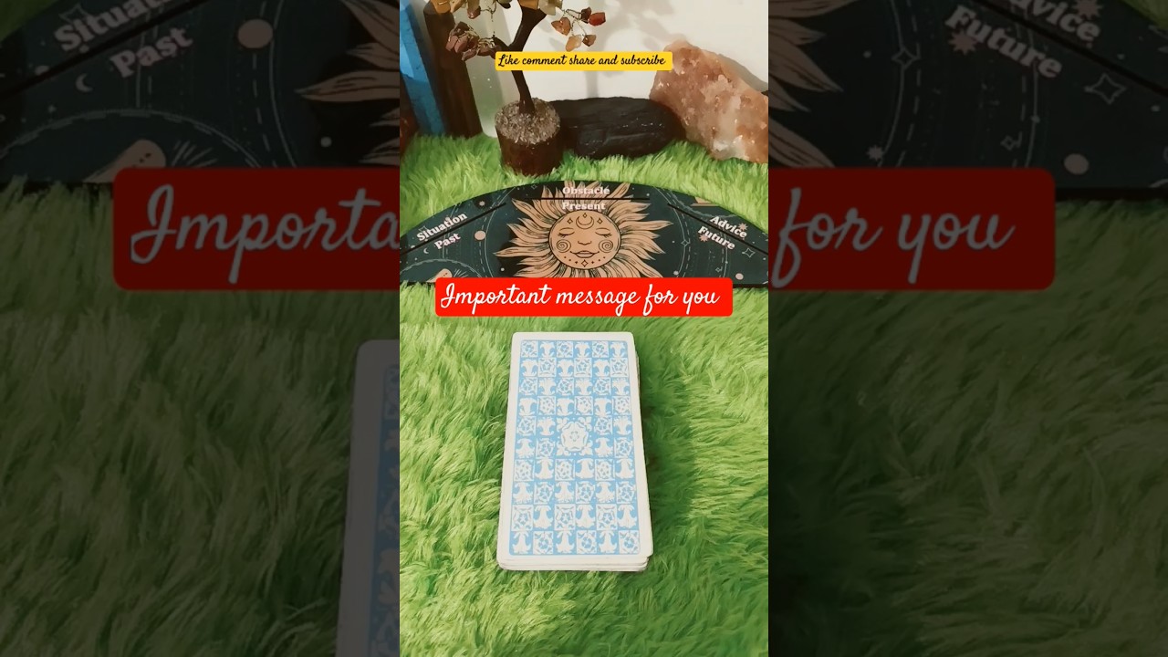 Important guidance for you , don't ignore the message #tarot #ytshorts #tarotreadingdaily