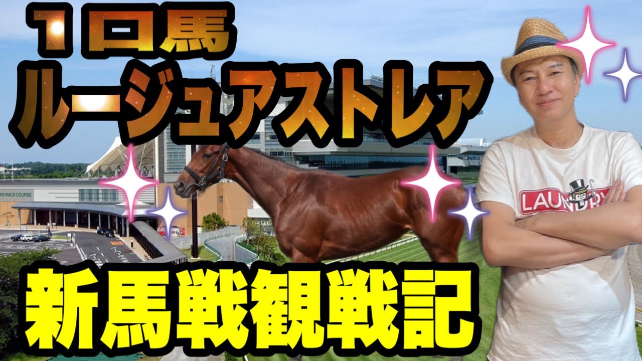 【2025年7月26日新潟5レース】1口馬ルージュアストレアデビュー戦観戦記　新馬戦新潟芝1600m