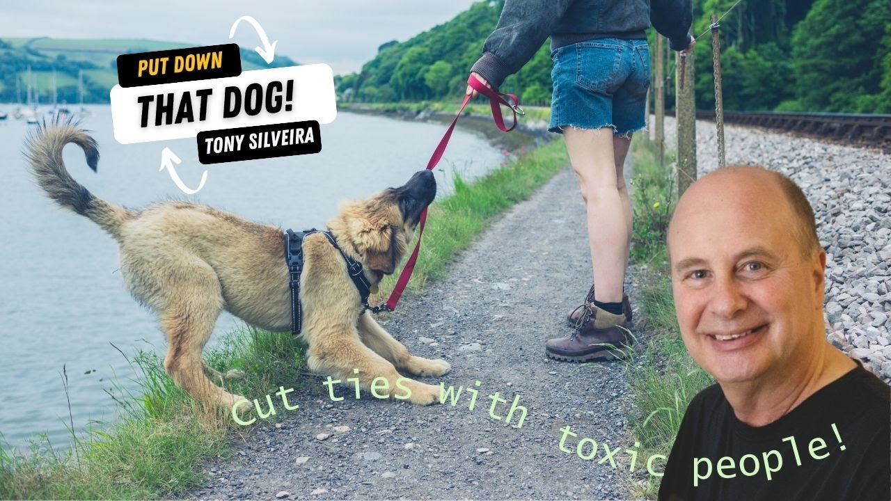 Put down that dog! How to cut ties with toxic people