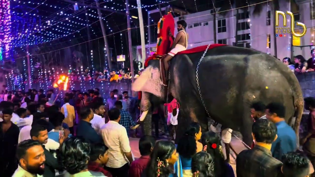 PAMPURAM VISHNUPURAM II TEMPLE FESTIVAL