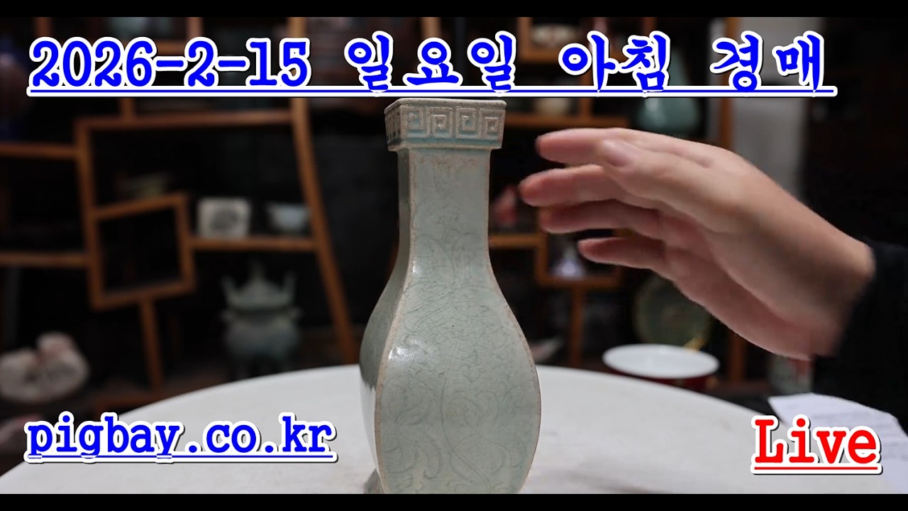 생방송) 중국 도자기 경매 방송 -  일요일 아침루틴 오전  5시 38분  피그베이