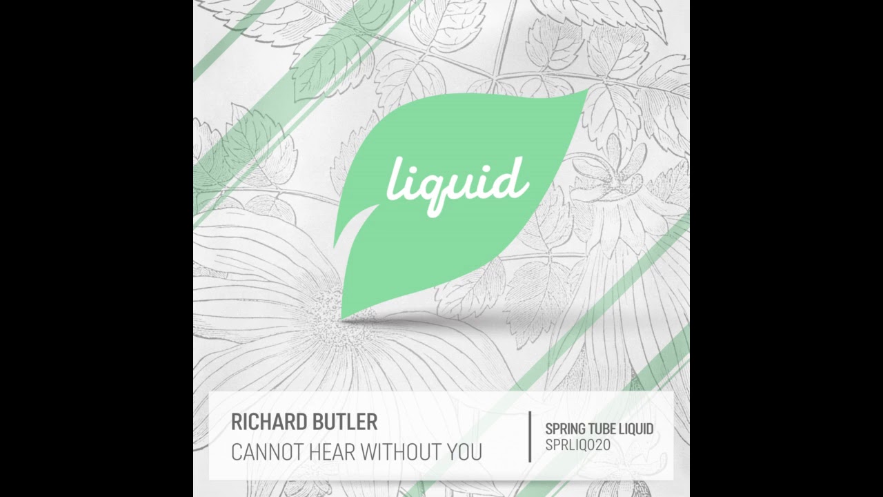 Richard Butler - Never (Original Mix)