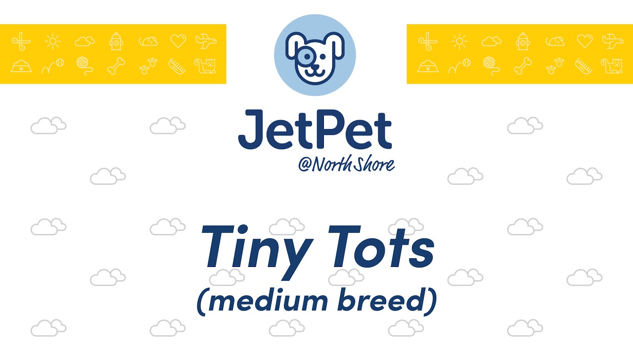 NS: Tiny Tots #3 - February 22, 2026