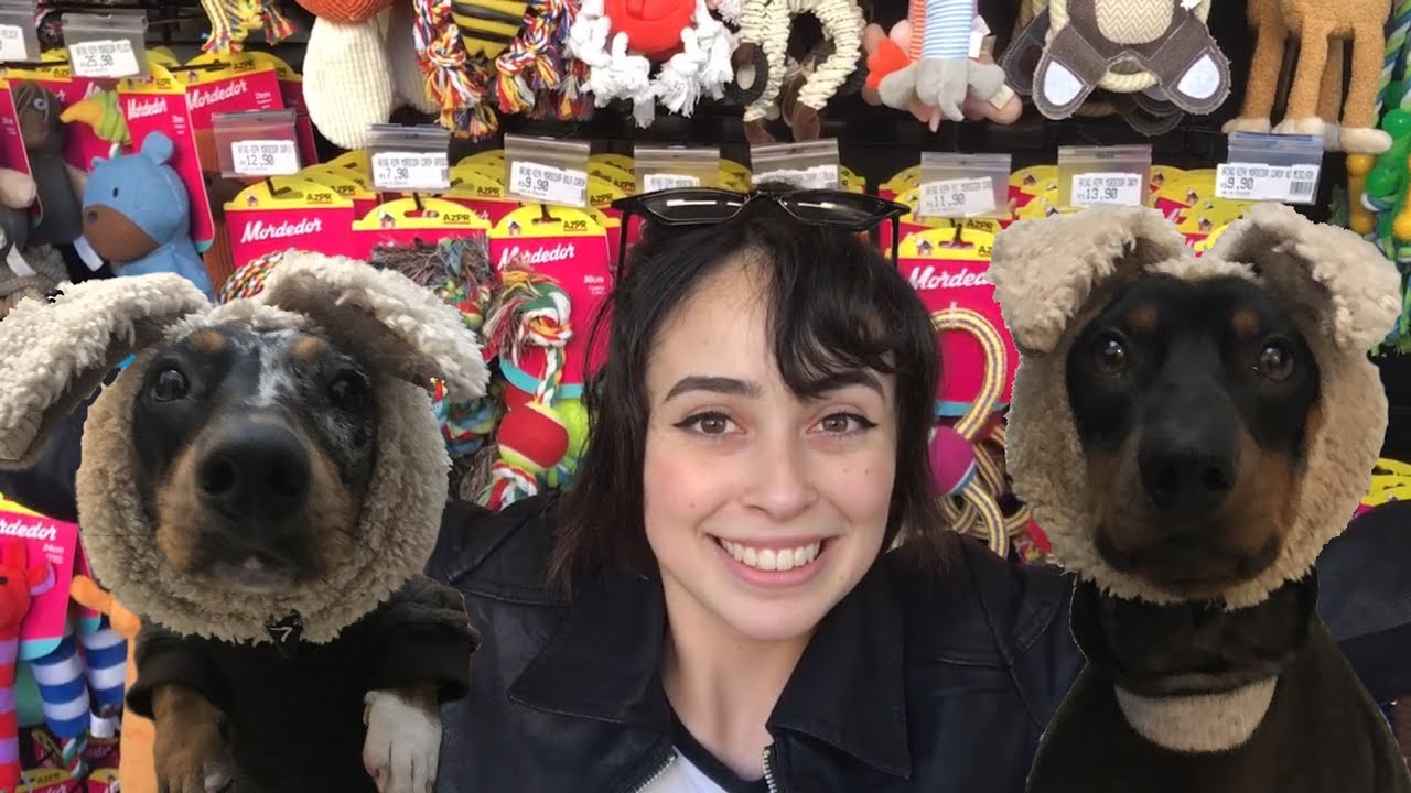 VLOG DE CATIORO #4 - DIA DE PETSHOP