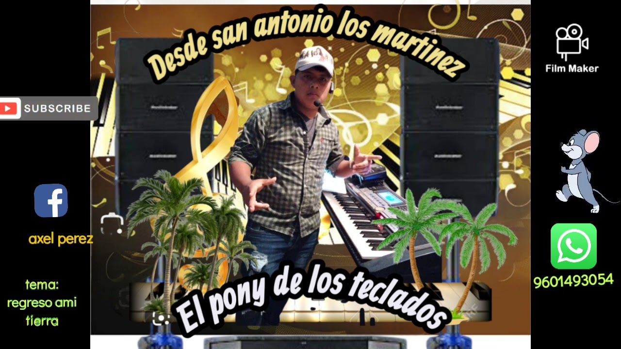 El pony de los teclodos regreso ami tierra