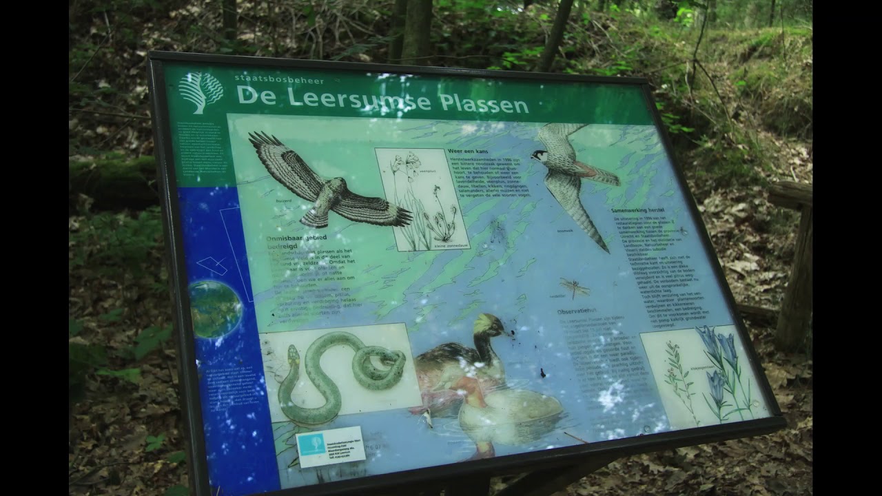 N R Leersumse Veld en de Leersumse Plassen Nederland