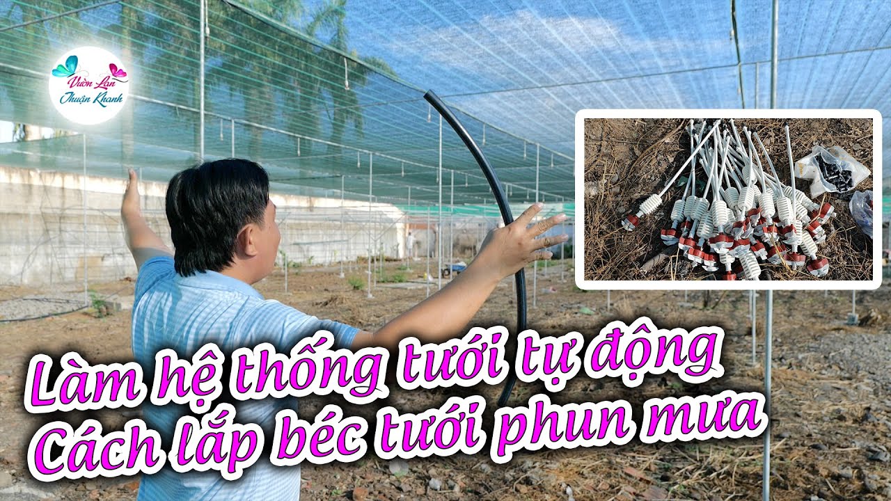 L&Agrave;M HỆ THỐNG TƯỚI TỰ ĐỘNG CHO HOA LAN, C&Aacute;CH LẮP B&Eacute;C TƯỚI PHUN MƯA ĐƠN GIẢN NHẤT HIỆN NAY #hoalan