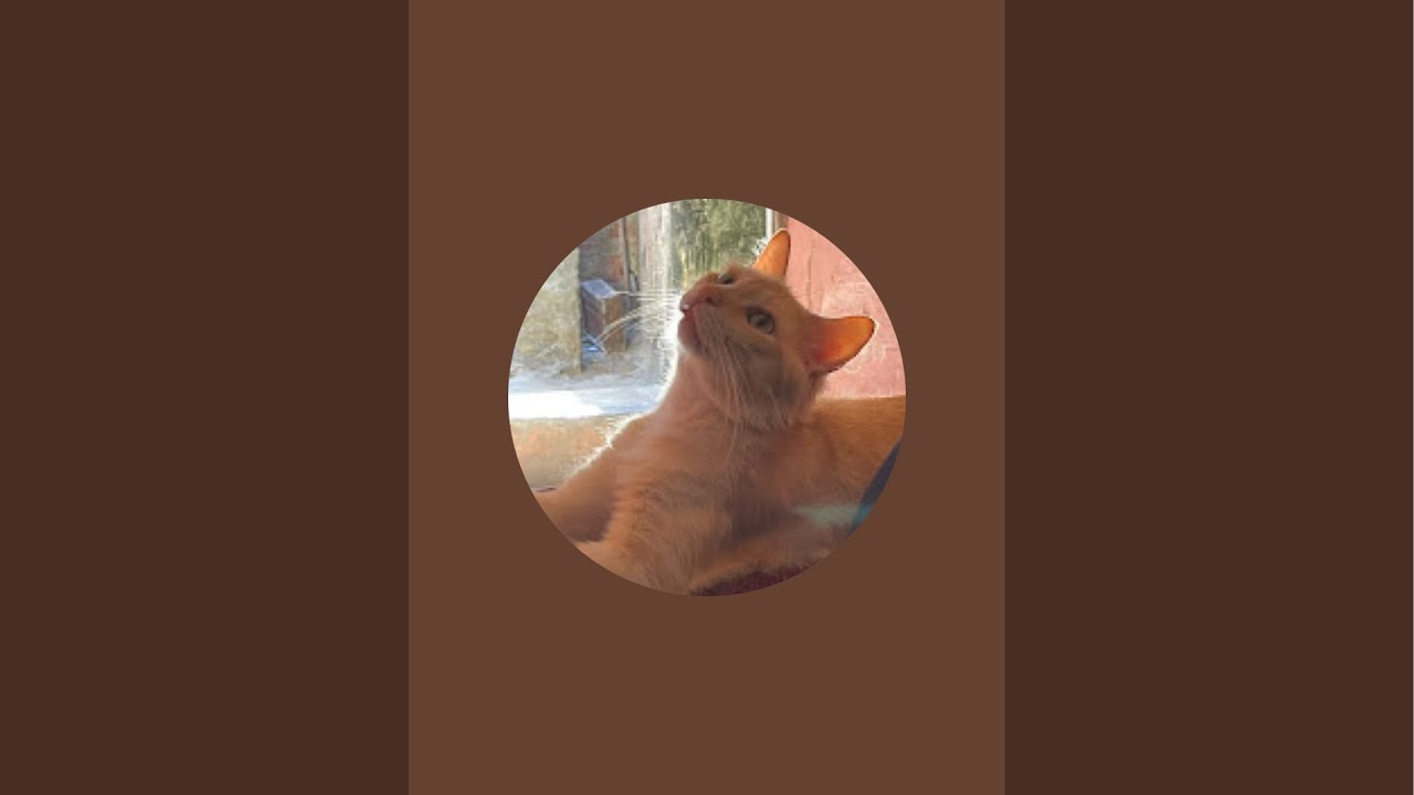George souza  está ao vivo!