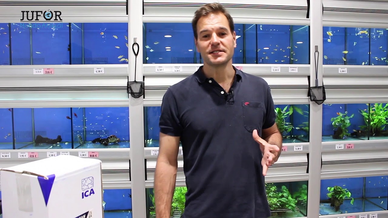 Acuario marino - Cómo eliminar los nitratos con un reactor de biopellets