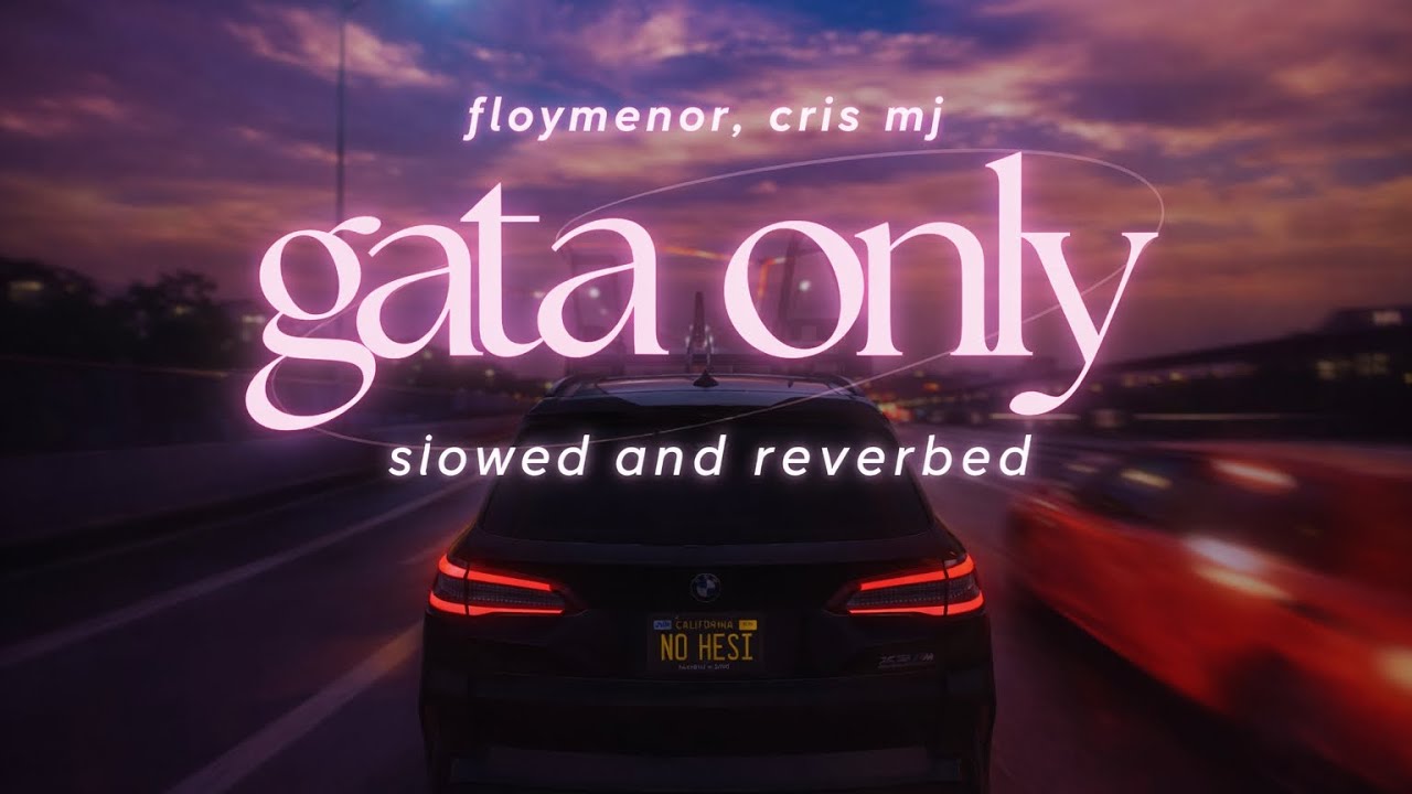 ɢᴀᴛᴀ ᴏɴʟʏ 🎵