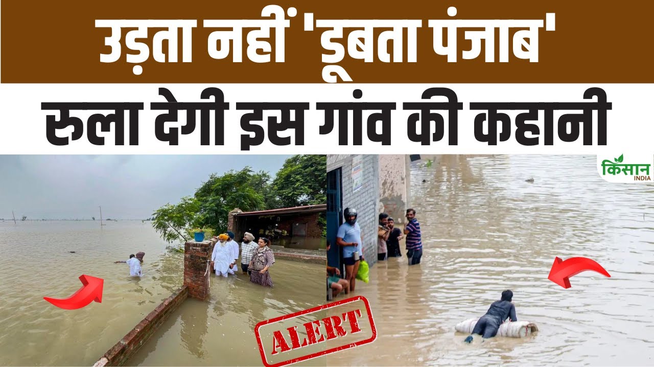 Punjab Flood: पंजाब में बाढ़ से भारी तबाही, खुद बांध बनाकर बर्बादी से बचने की कर रहे कोशिश