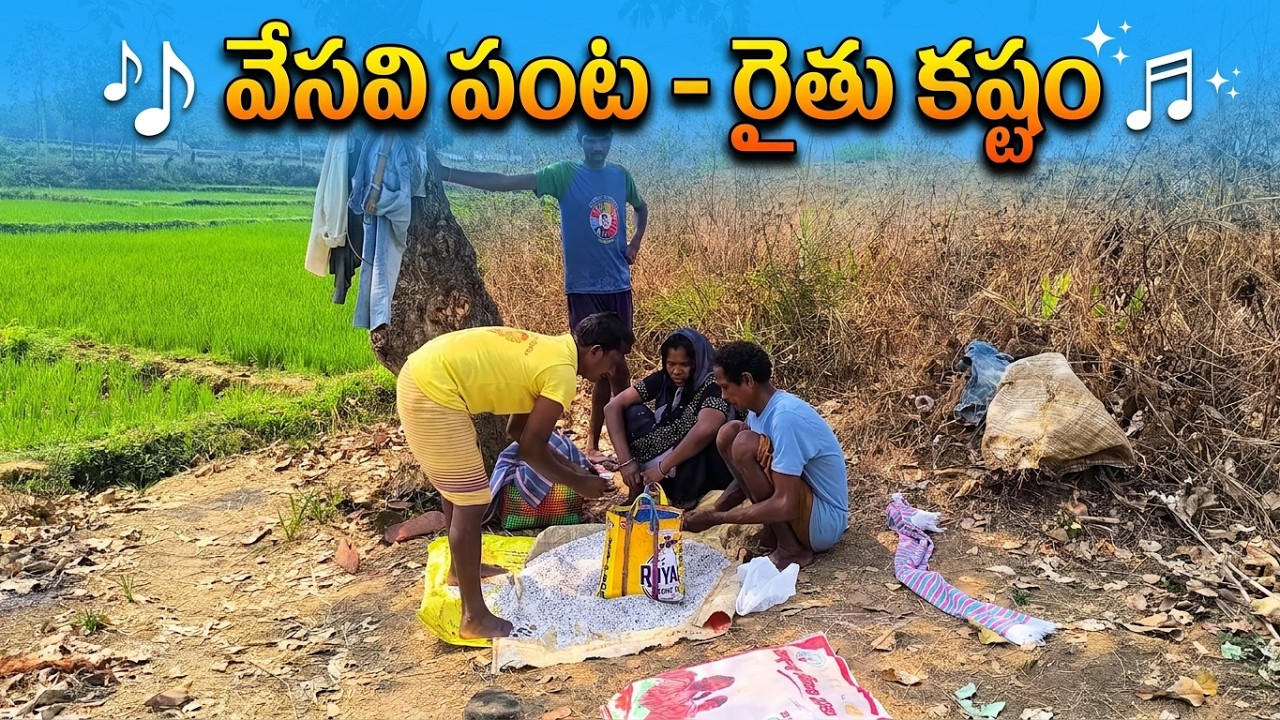 ​వేసవి పంట - రైతు పడరాని కష్టం 🎤జానపద పాటతో 🎶 #FarmerLife #agricultureindia #telugufocksong #newsong