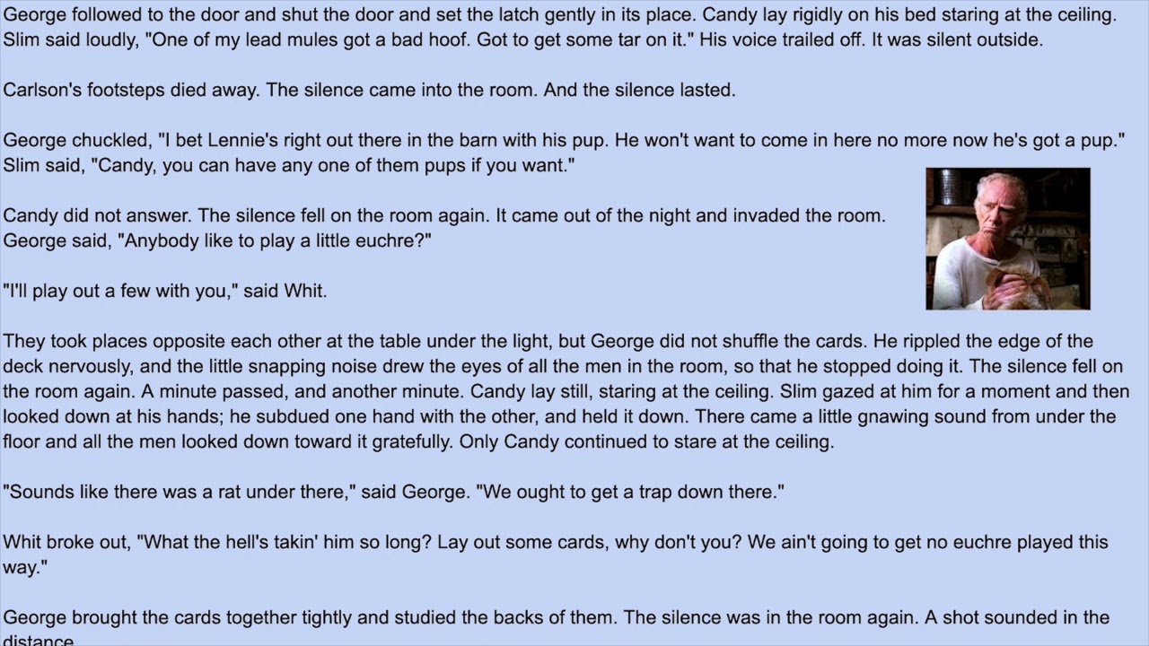 OMAM - Candy's Dog - Extract