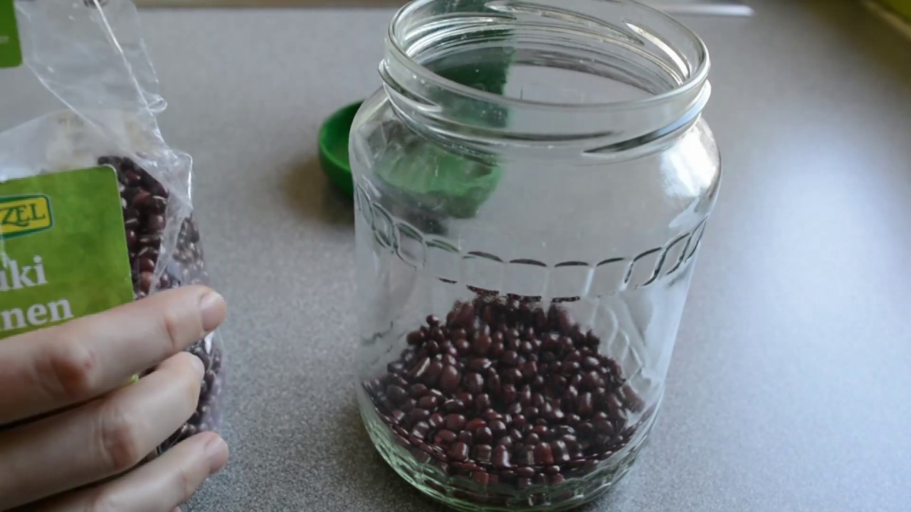 🌱 Adzuki-Sprossen selber machen ★✩✩✩✩