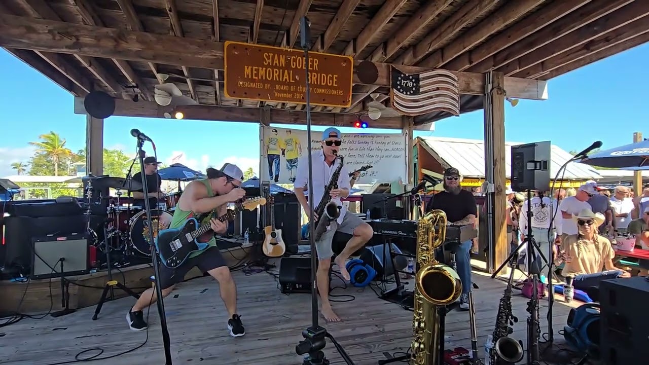 Gimme Some Lovin - Phenomenal Animal #bluesbrothers 