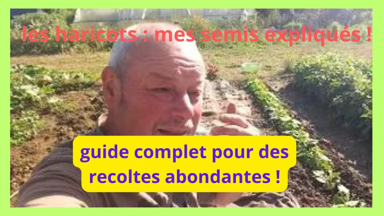 Réussir ses haricots verts : le guide complet pour des récoles abondantes  !😋