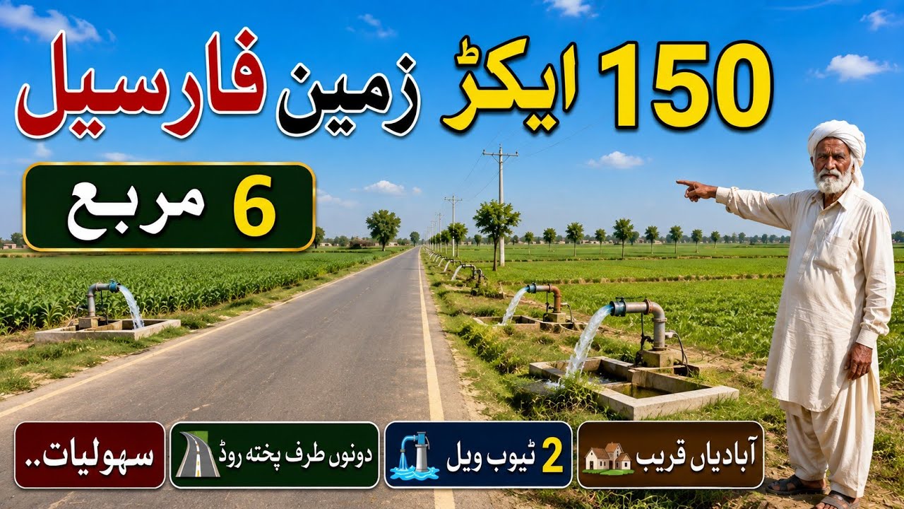 150 Acre Agriculture Land for Sale in Punjab, Pakistan | Low Price | Land for Sale | Ep 258