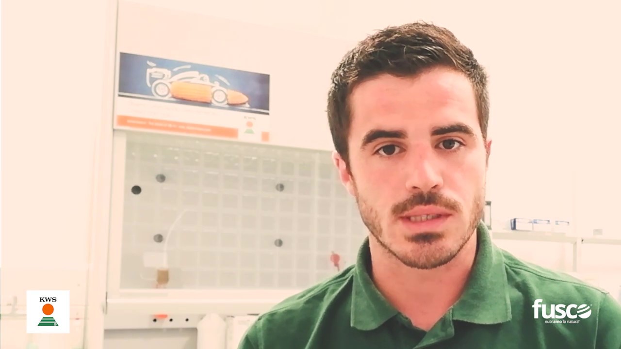 Gestione dell'insilato di Mais | FUSCO MANGIMI