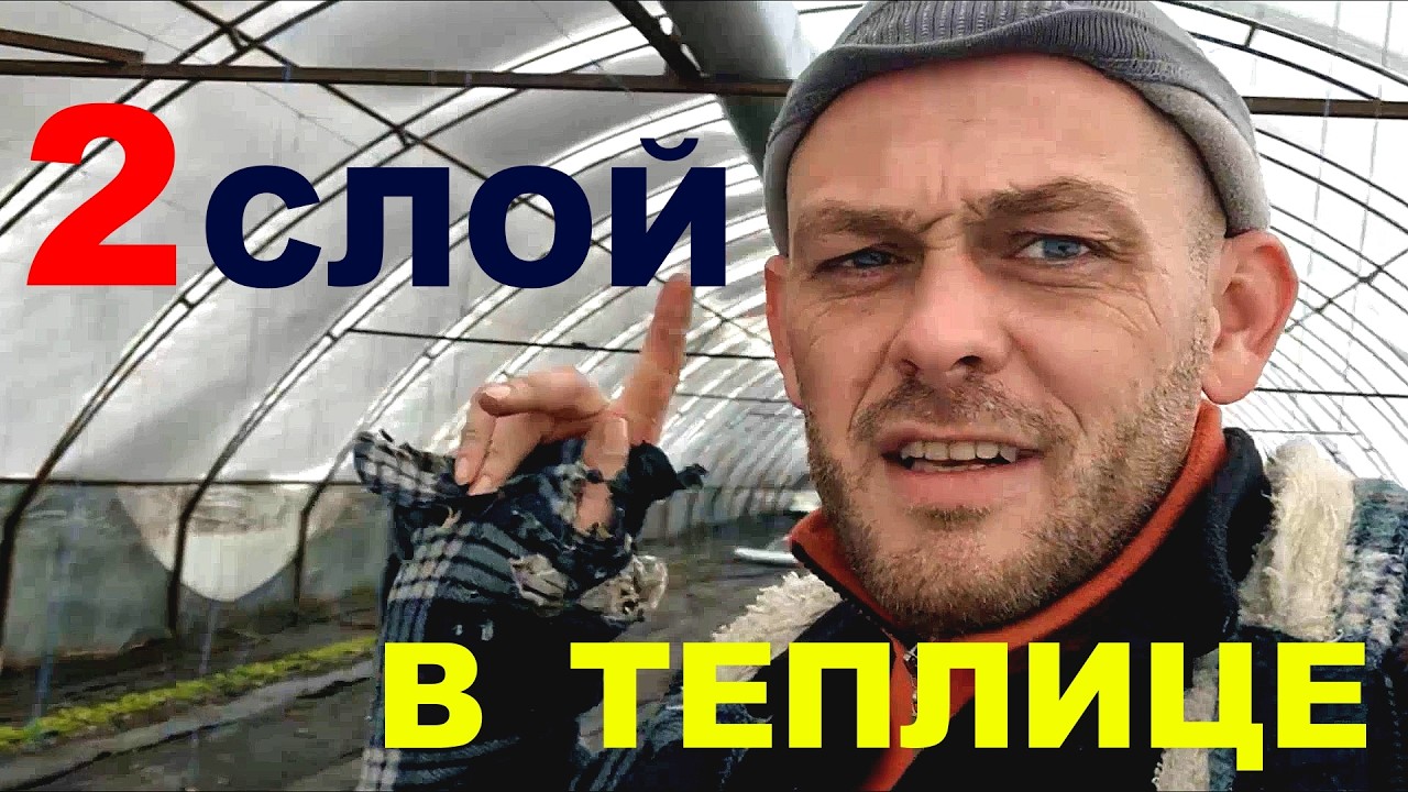 Второй слой плёнки в теплице. Пикируем цветы, обзор рассады.