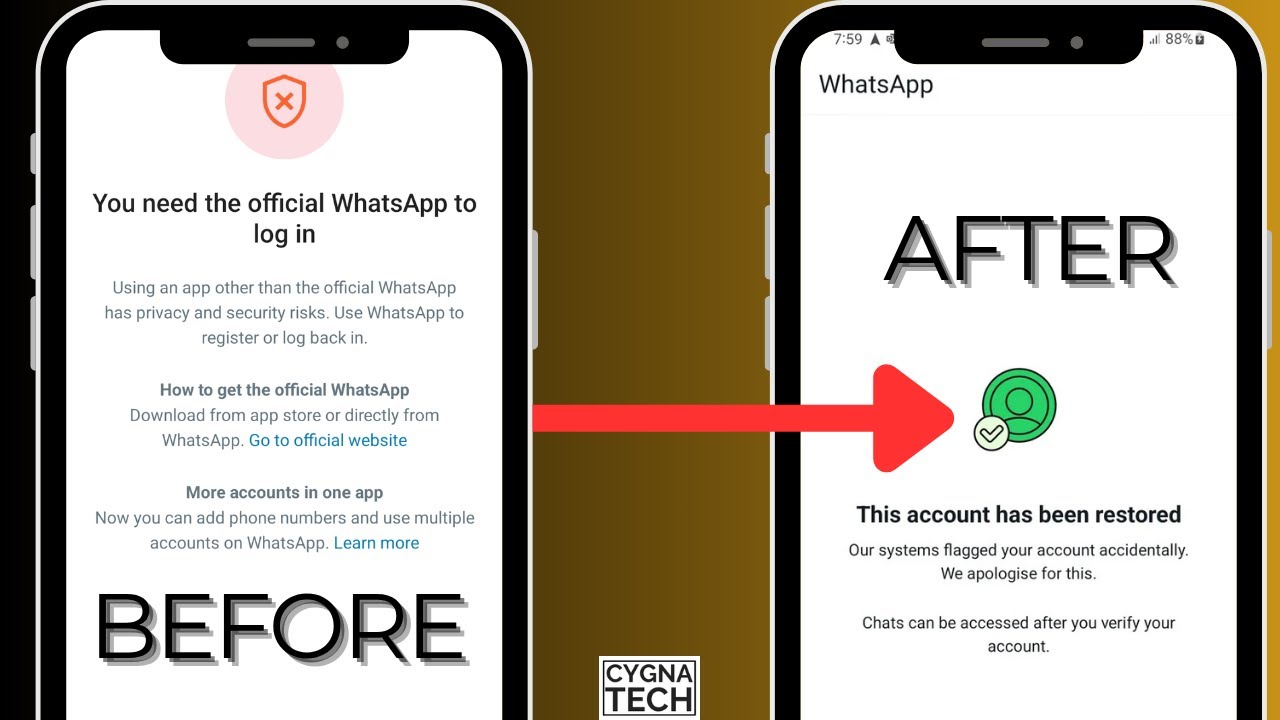 🚨 WhatsApp Banned Your Account in 2025? Fix 