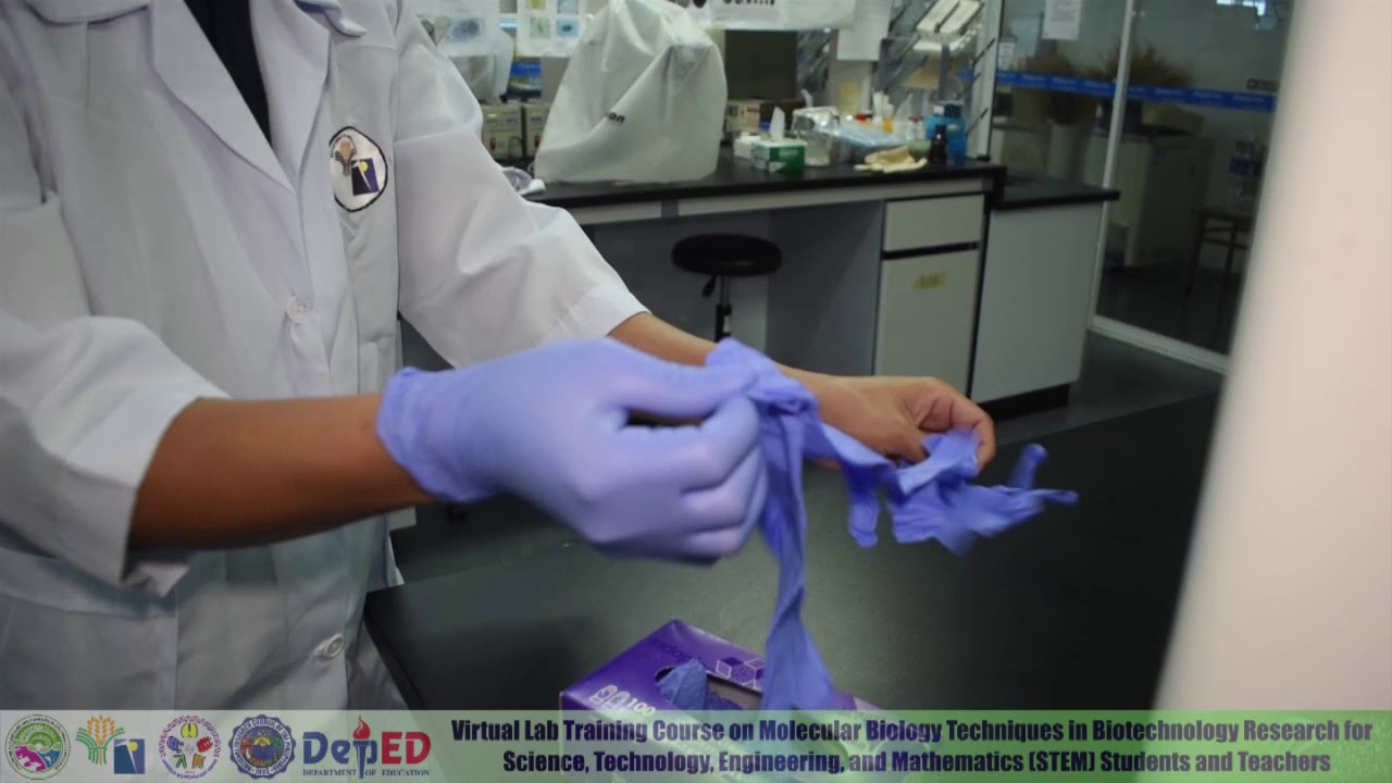 01. Virtual Molecular Biology Training - Basic Laboratory Safety Protocols