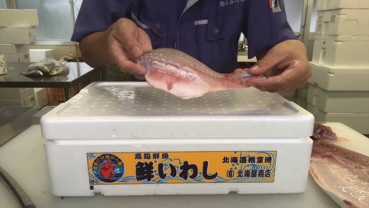 釣った魚の究極の保存 《其の弐》vol.26 おろし身の保存