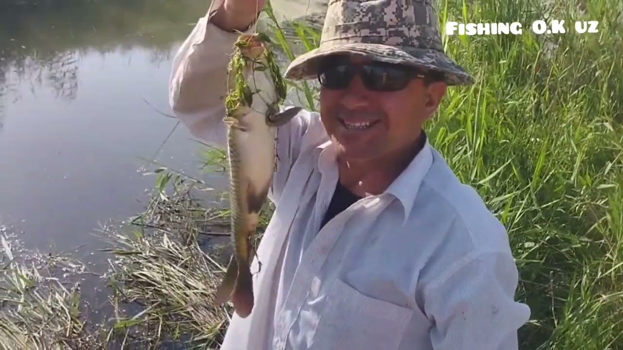 Балиқ овидаги энг зур моментлар. Куриб двм олинг #баликови #рыбалка #fishing #telegram 