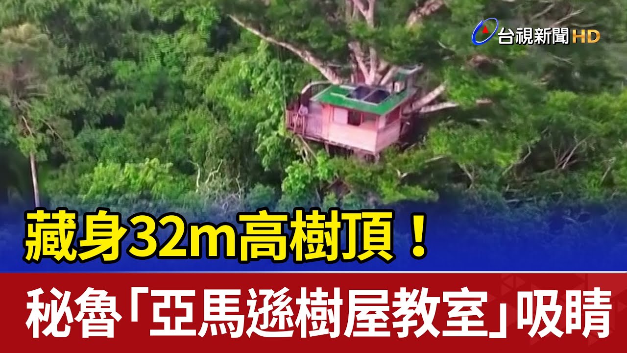 藏身32m高樹頂！ 秘魯「亞馬遜樹屋教室」吸睛