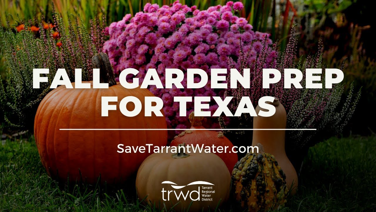 Fall Garden Prep for Texas