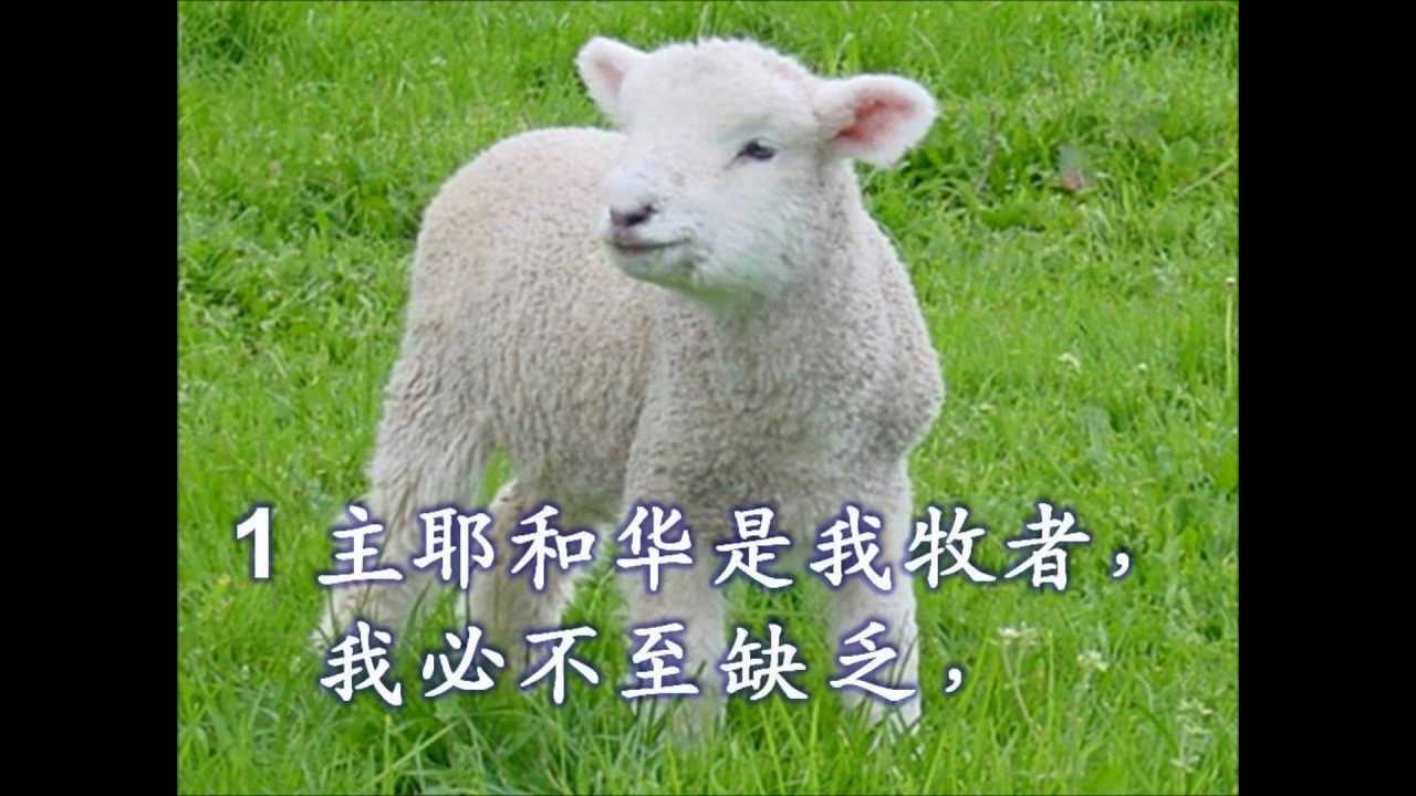 唱 诗篇 23 (粵語) / Sing Psalm 23 in Cantonese (主耶和华是我牧者)