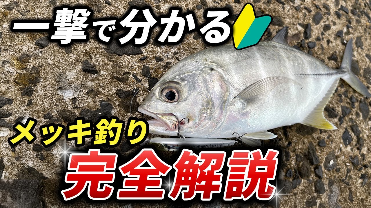 【完全保存版】メッキのルアー釣りに必須の基礎知識〜釣果アップの極意・おすすめルアー徹底解説