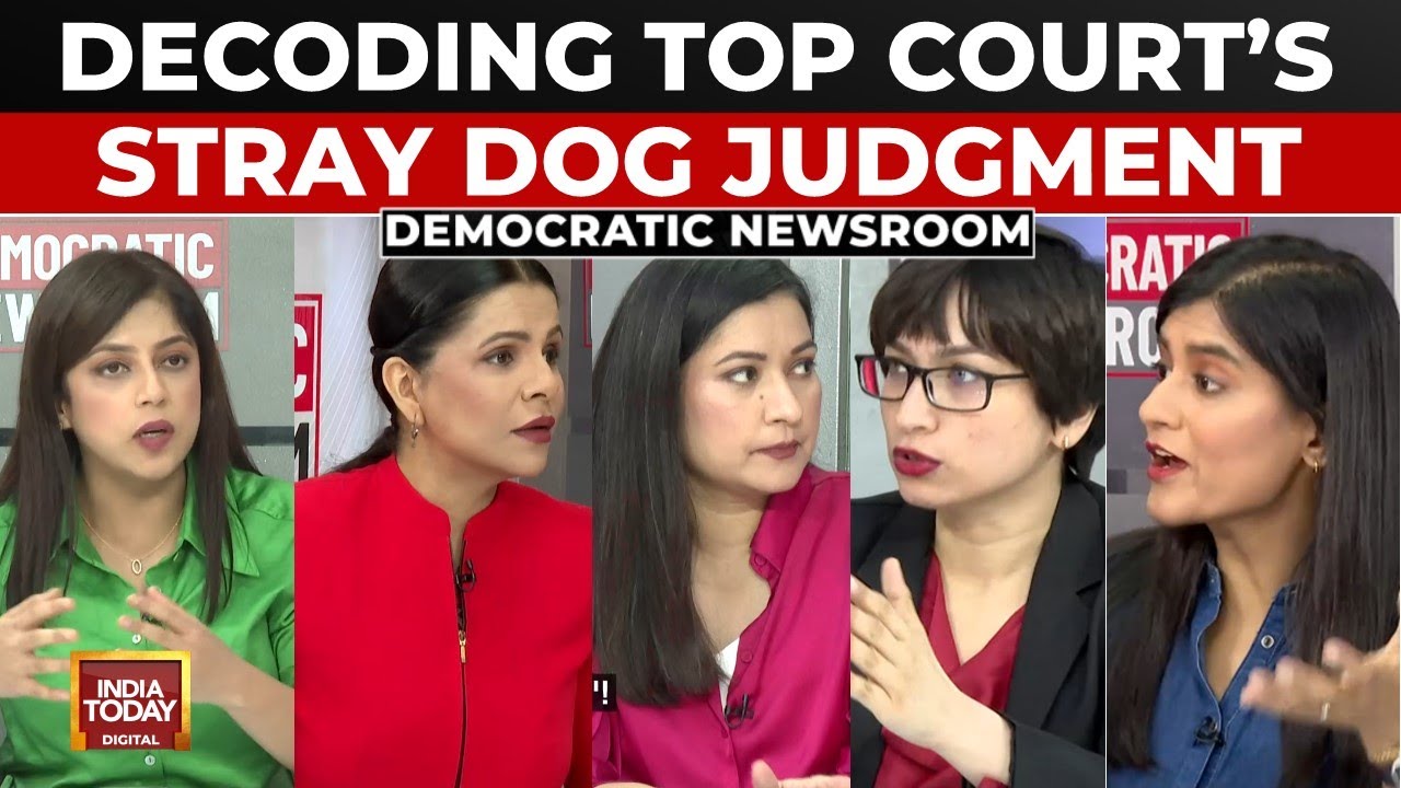 Stray Dog Menace: Supreme Court Frustration, Public Safety Concerns | Democratic Newsroom