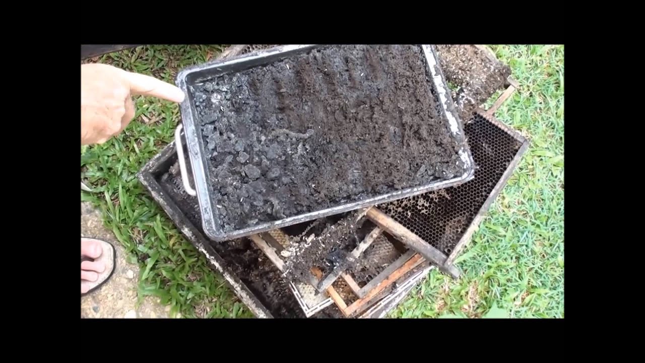 BEEKEEPING: Resurrecting a LONG TIME Dead Bee Hive.