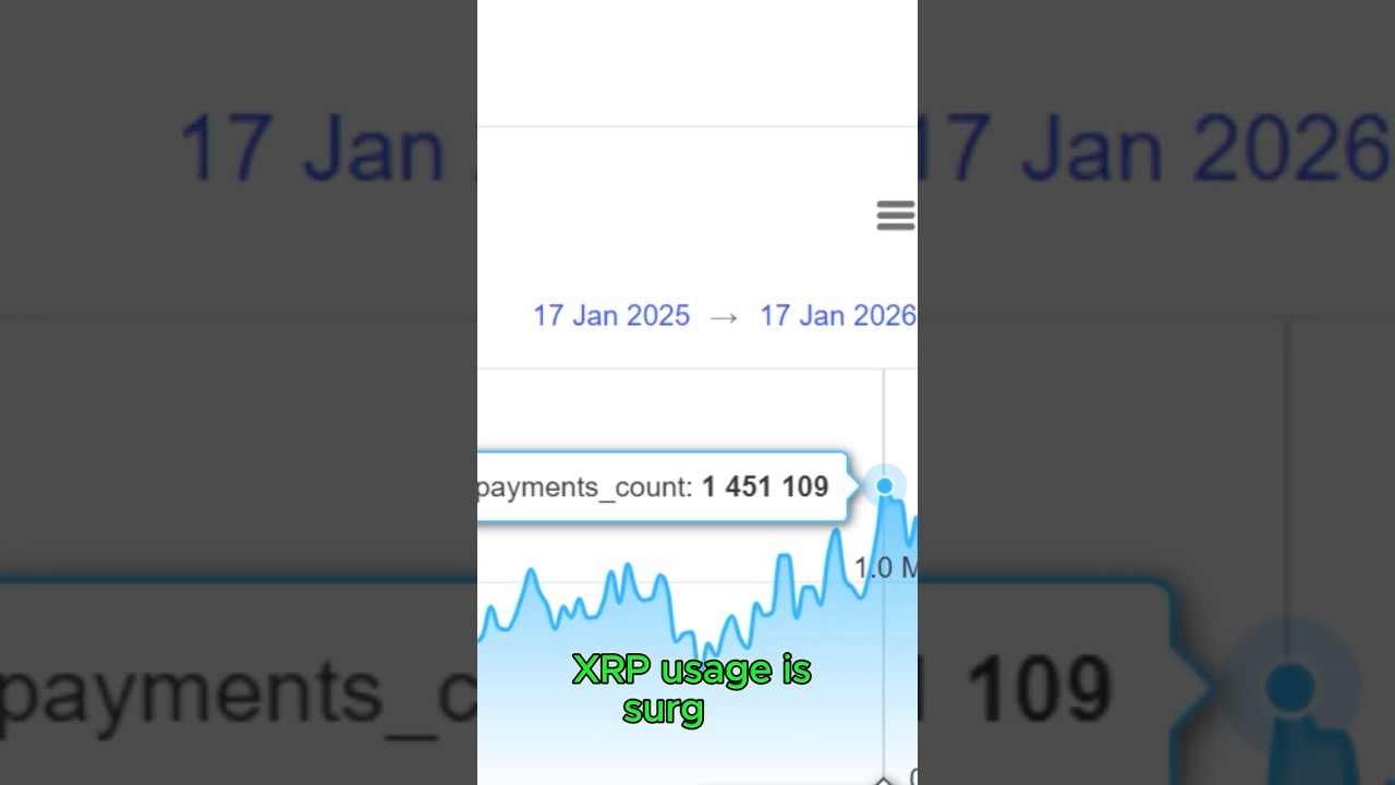 Surge In XRP Transactions: 1.45 Million Daily Users Could Signal Price Rally Ahead