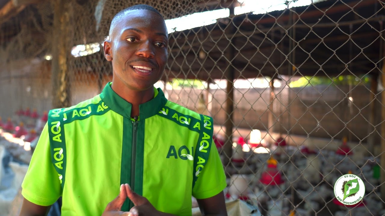 Medidas de Biossegurança: Acções importantes na produção do frango de corte / ABC DO AGRICULTOR