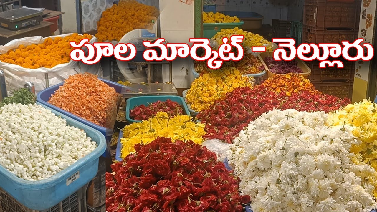 Flower Market in Nellore#youtubeshorts #flowers#devotional #shortvideo #nature #naturelovers #enjoy 