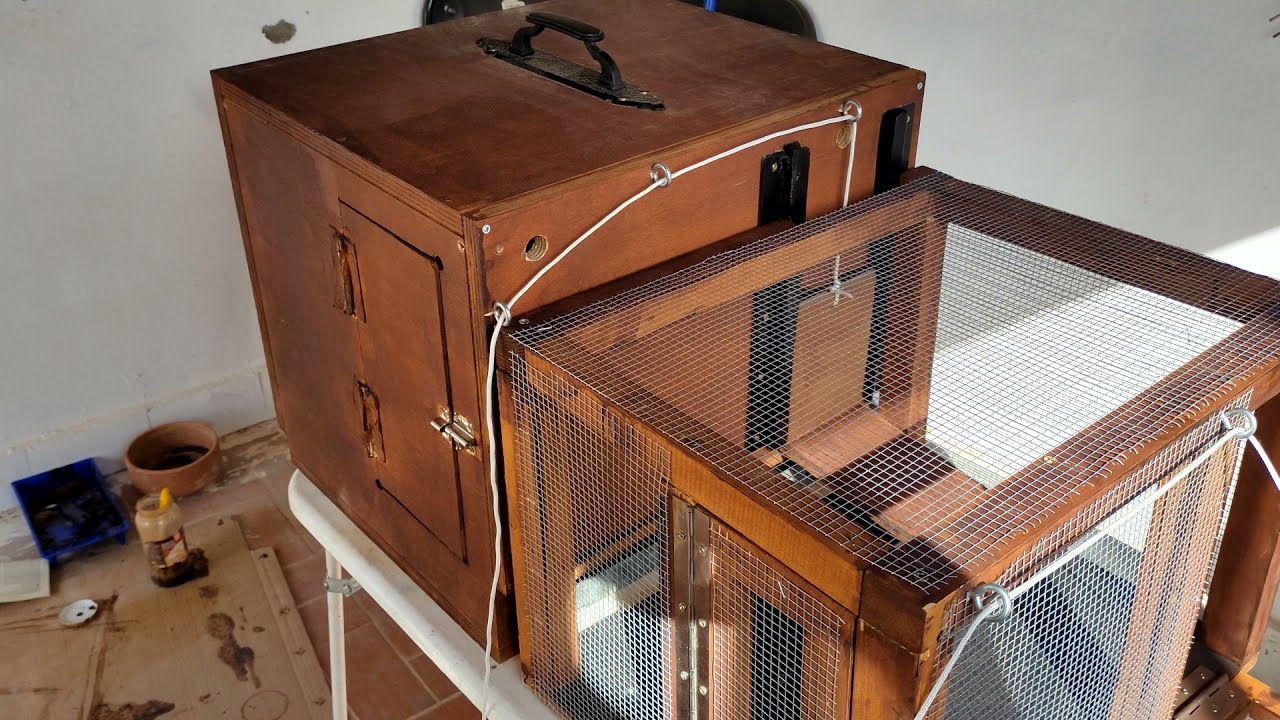 Como hacer Cajon de vuelo para palomos de Trabajo o Ladrones #Palomeando a tope Cortesia de Victor