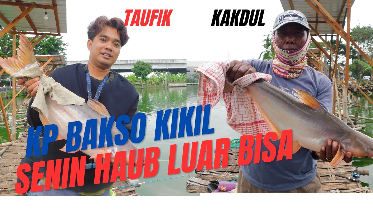 STRIKE LUAR BIASA GACOR KP BAKSO KIKIL #mancing #mancingmania