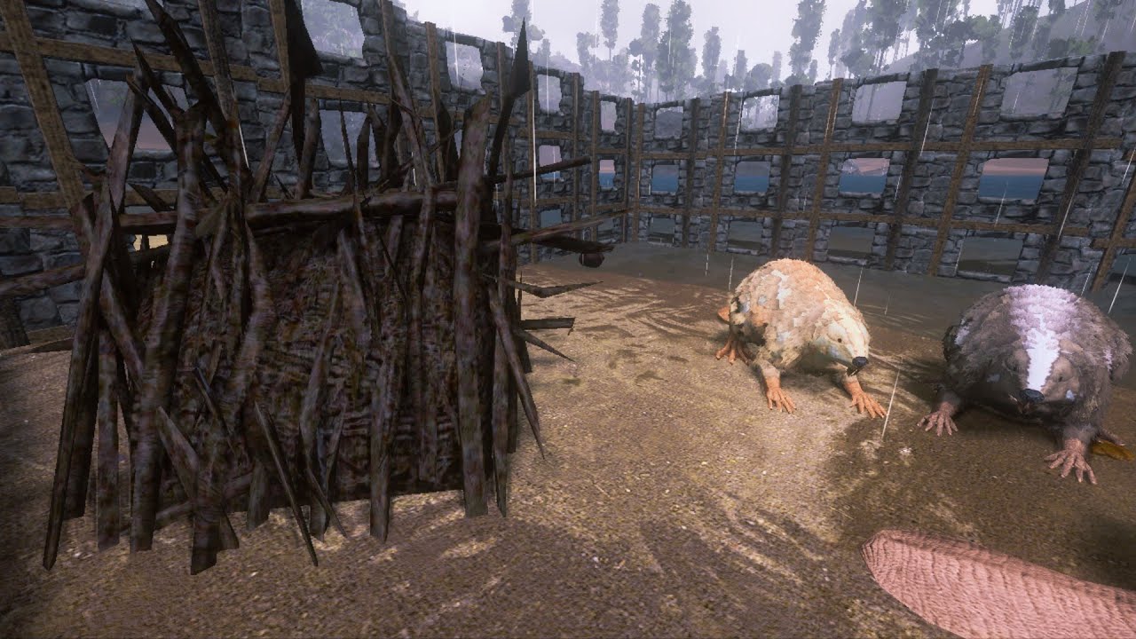 How To Farm (cementing paste,silica ,wood,rare mushroom,rare flower) ark survival evolved mobile👍👍👍👍