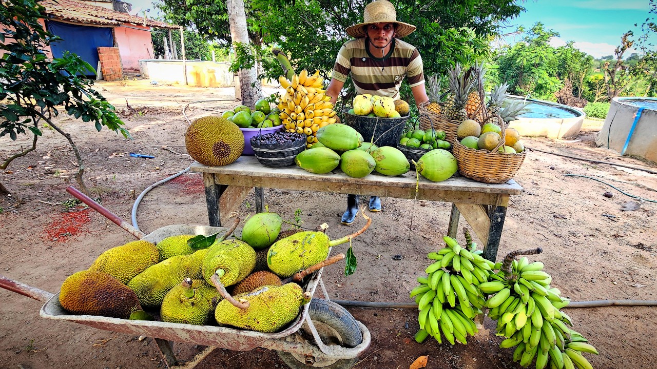 VOU SAIR DO S&Iacute;TIO // preparando  tudo e colheita das frutas  do momento