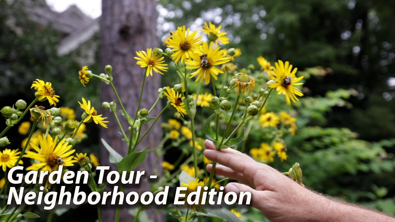 Awesome Garden Tour - Neighborhood Edition - P2