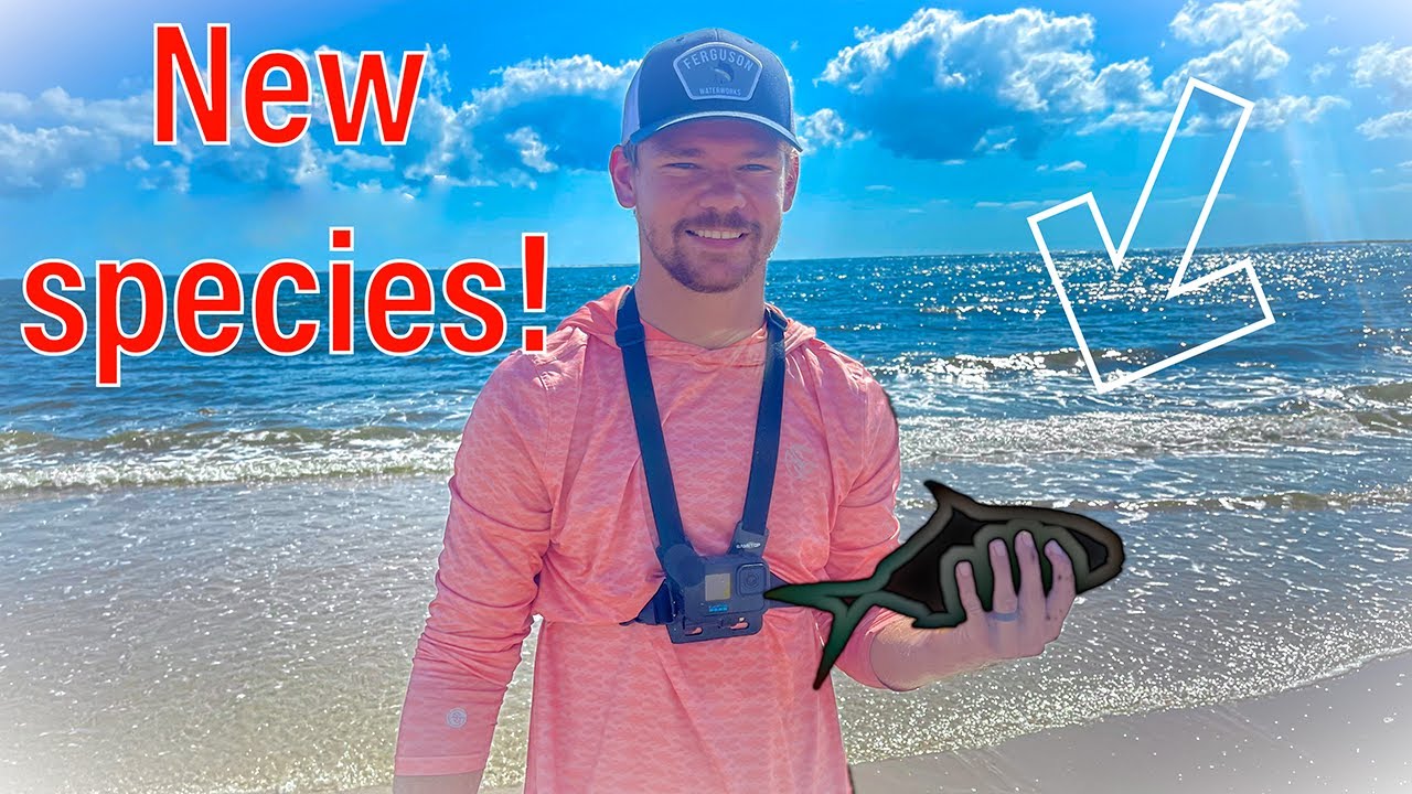Multi Species Surf Fishing Jacksonville FL!