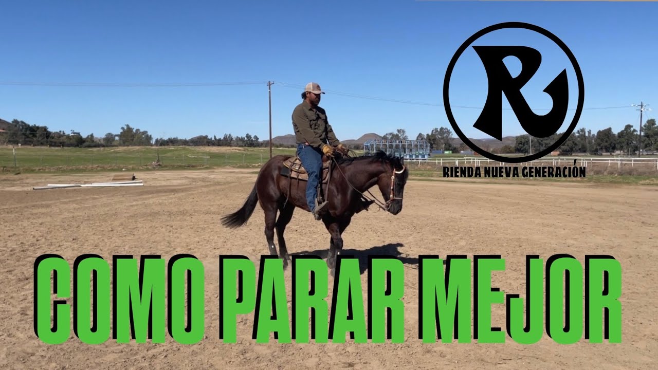 Como Enseñarle A Parar Mejor a Tu Caballo