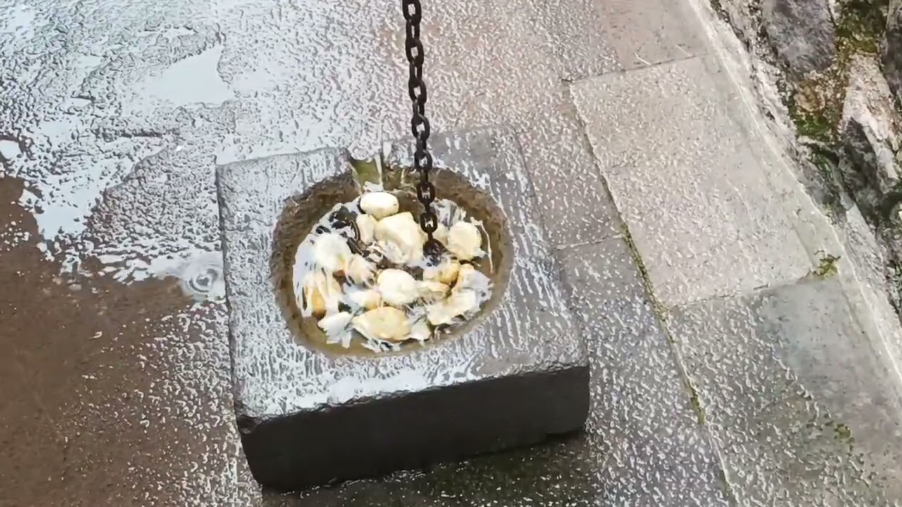 mahzenlerde beklemek ziyan artık | Vlog