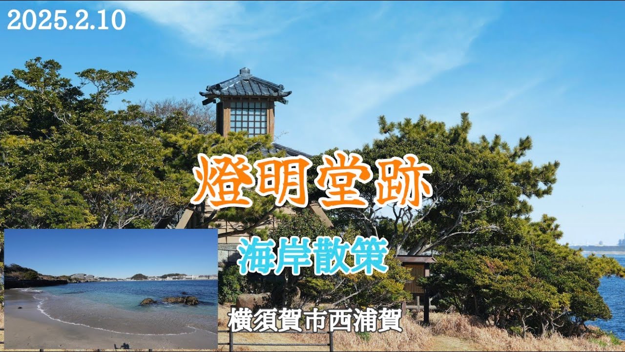 燈明堂跡 周辺散策（横須賀市西浦賀）｜江戸時代の灯台跡！寒中水泳にビックリ‼️【撮影出来た野鳥】イソヒヨドリ♀・メジロ・ジョウビタキ♂・ハクセキレイ。