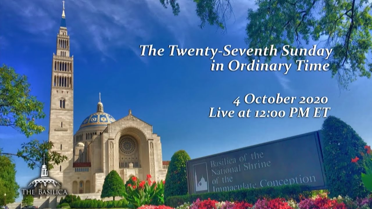 Twenty-Seventh Sunday in Ordinary Time - October 4, 2020