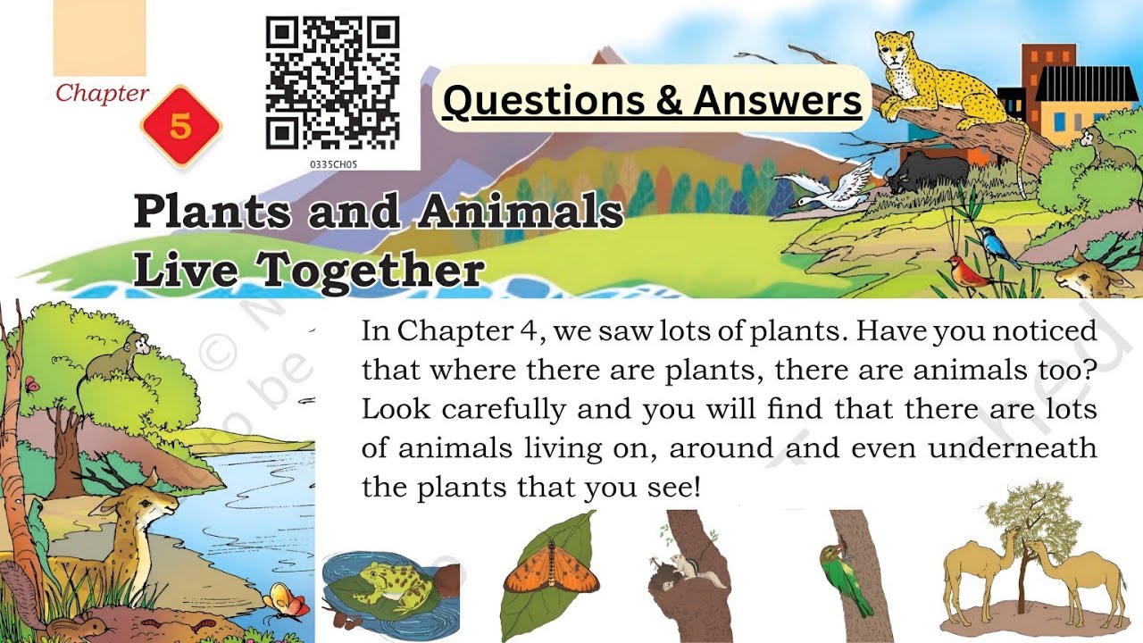 Plants And Animals Live Together | Questions & Answers | Class 3 EVS | The World Around Us Chapter 5