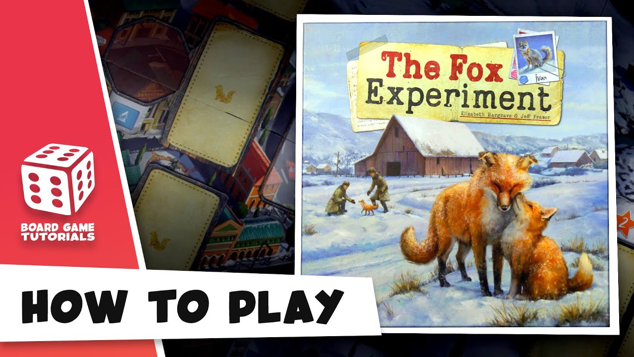The Fox Experiment | How To Play | Board Game